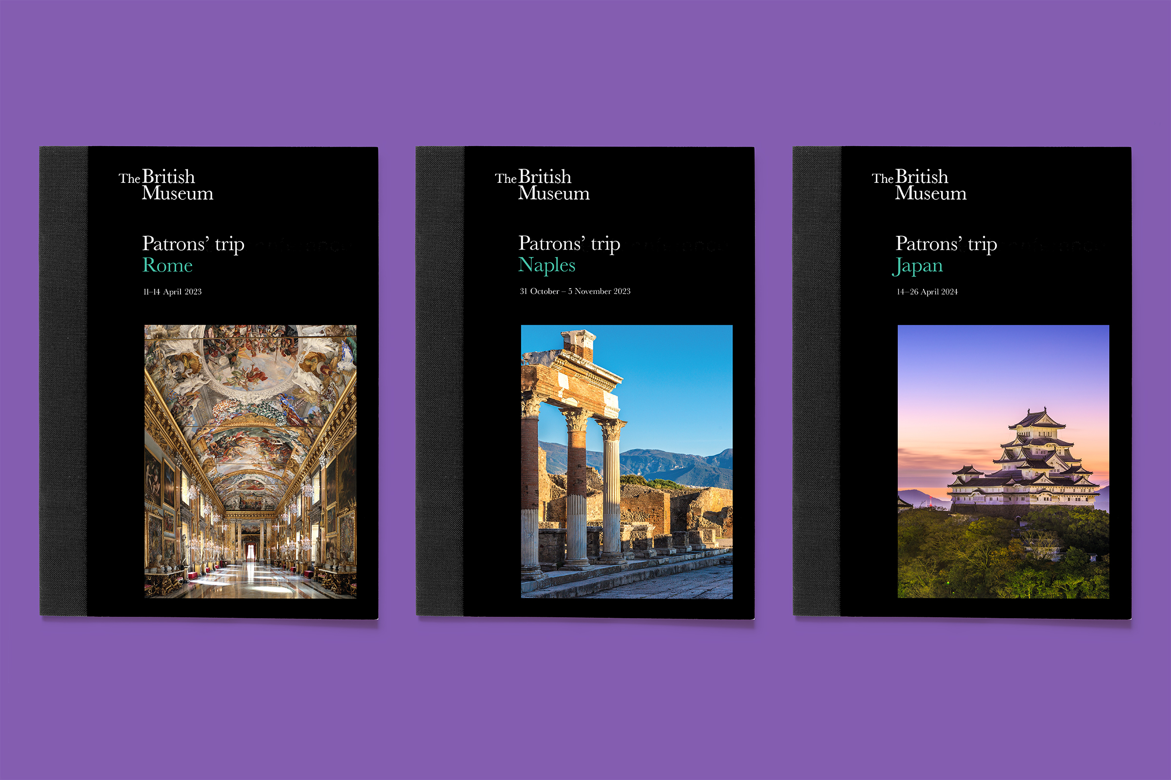 Top-down photo of three publications from the series